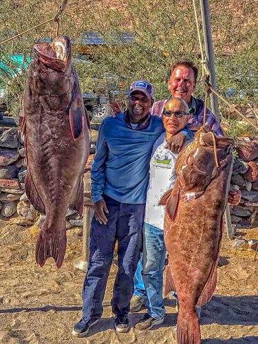 baja_fishing_report