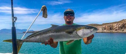 baja_fishing_report