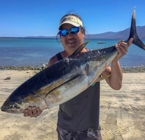 baja_fishing_report