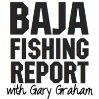 Baja Fishing Report