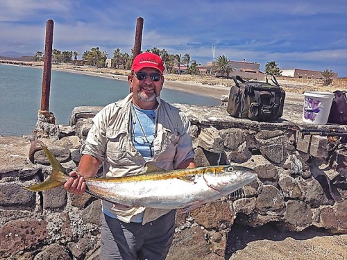 Baja Fishing Report - Chuck Carlos yellowtail