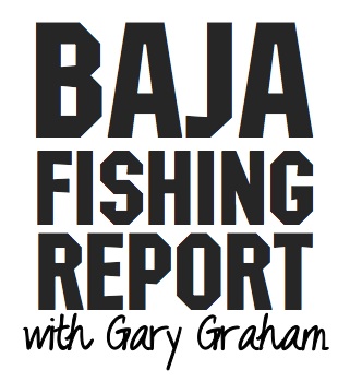 Baja Fishing Report Gary Graham