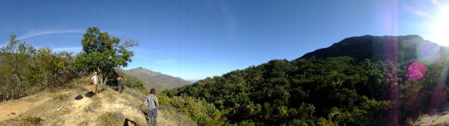 Sierra de la Laguna Baja California Mexico