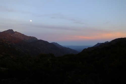 Sierra de la Laguna Baja California Mexico