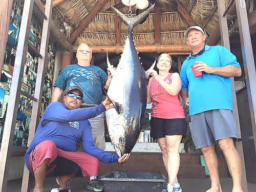 tuna baja fishing report