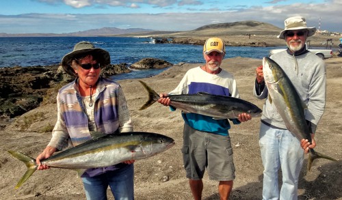 baja fishing report