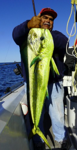 baja fishing report