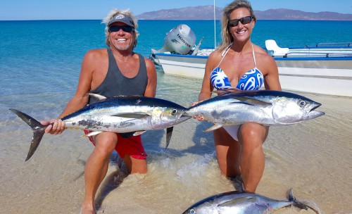 baja fishing report