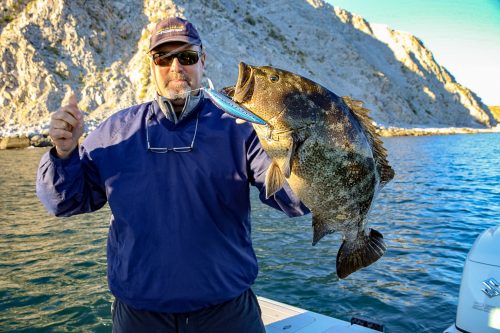 Baja_fishing_report