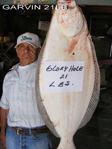 Baja Fishing Report glory hole
