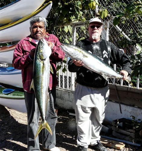 Baja Fishing Report Loreto