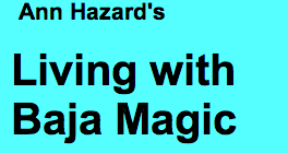 Ann Hazard's Living with Baja Magic - http://livingwithbajamagic.com/