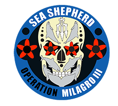 sea shepherd operation milagro - vaquita