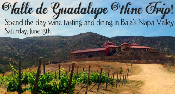 Valle de Guadalupe Baja wine trip