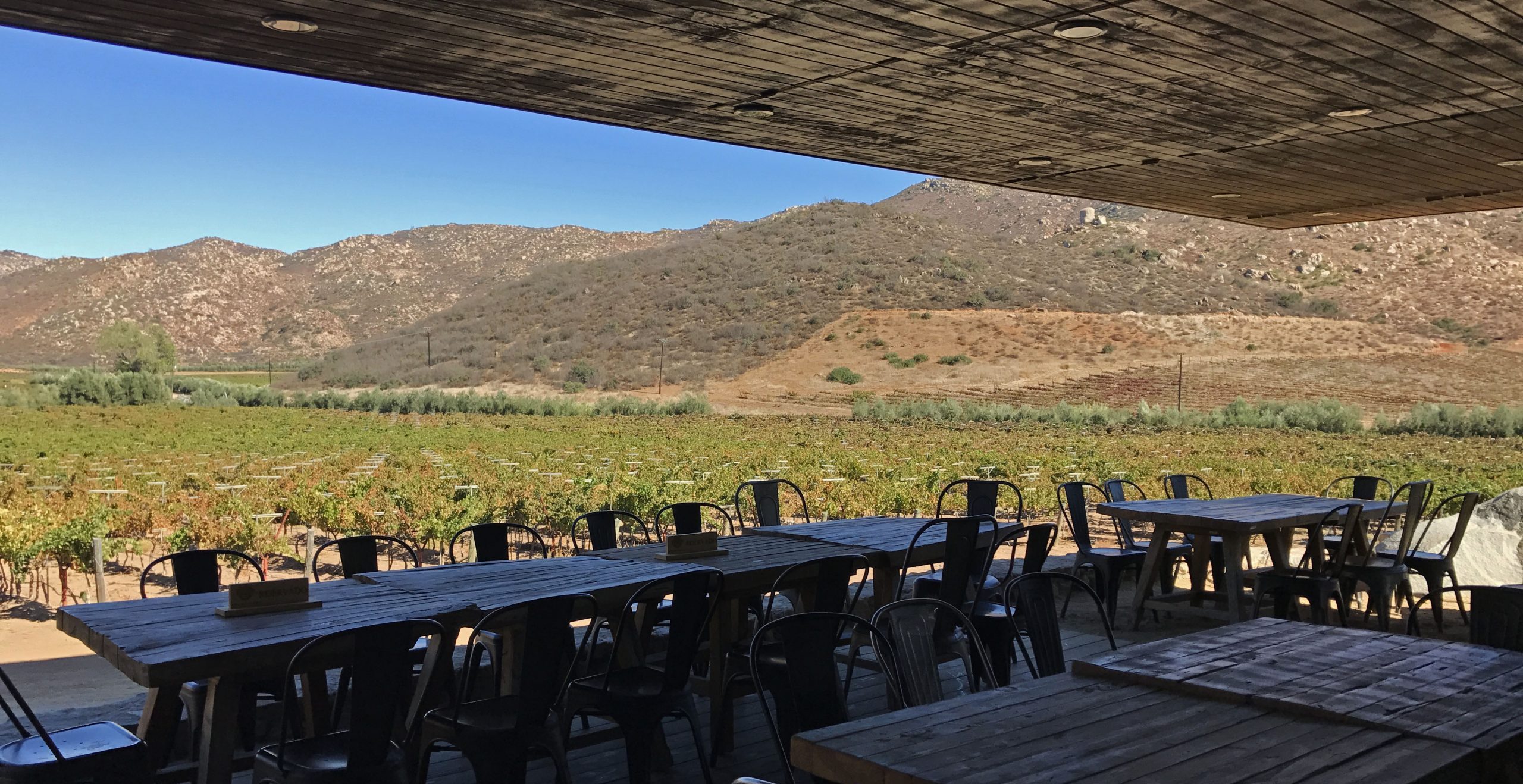 AlXimia - Baja Wine Country Guide