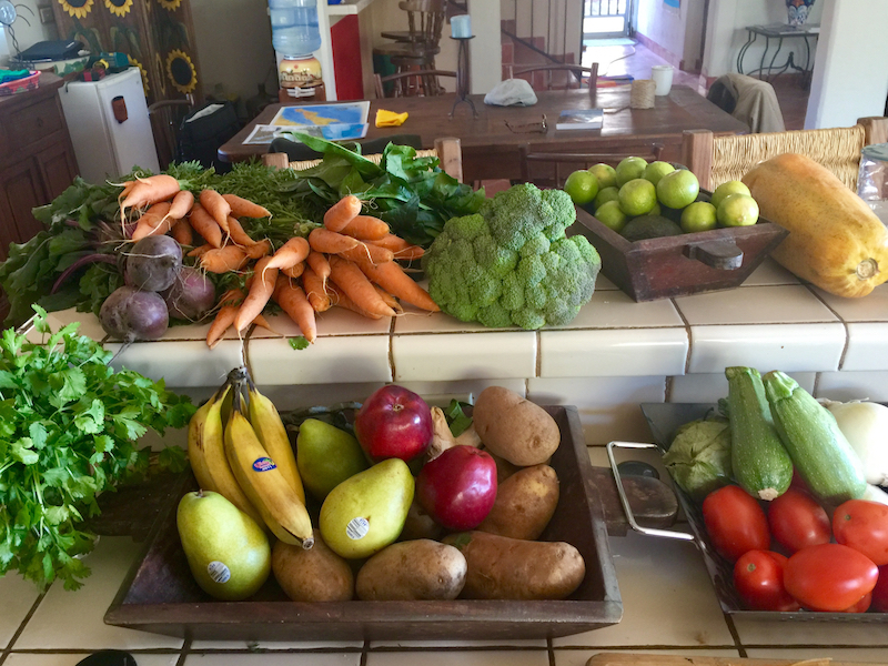 Fresh produce from the Mulege valley