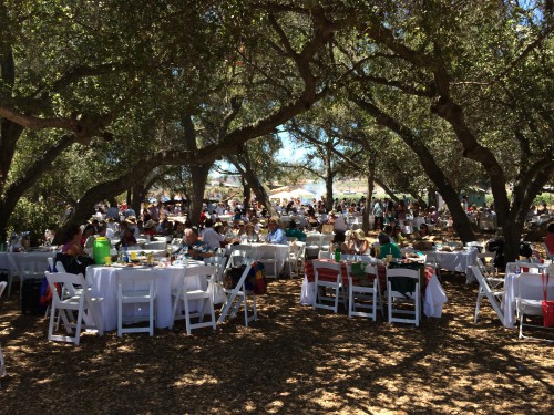 valle de guadalupe paella fest