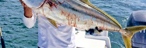 baja fishing report