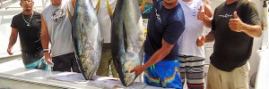 10-loscabostuna baja fishing report