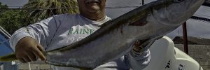 baja_fishing_report