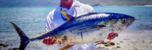 baja_fishing_report