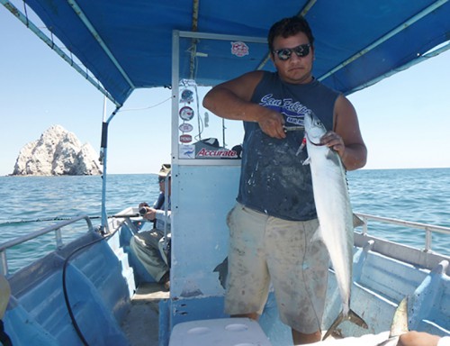 Baja Fishing Report