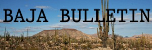 baja bulletin