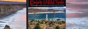 Baja's Wild Side