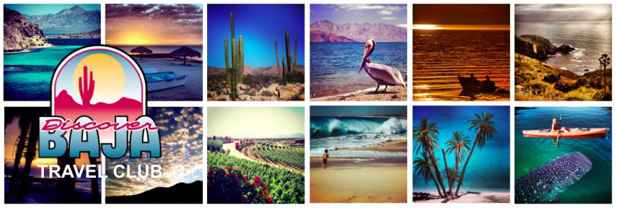 Discover Baja Logo with Photos