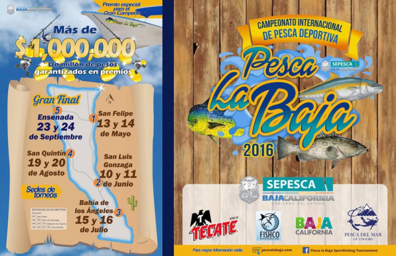 Pesca La Baja 2016