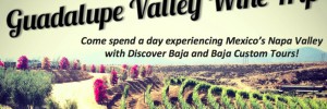 Guadalupe Valle Winery Day Trip July 19