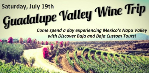 Guadalupe Valle Winery Day Trip July 19