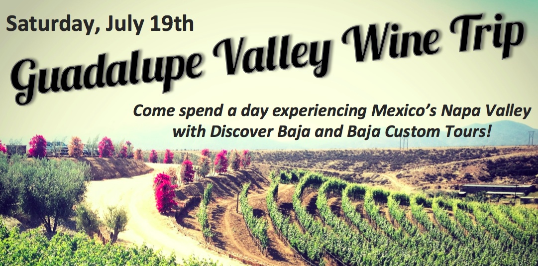 Guadalupe Valle Winery Day Trip July 19