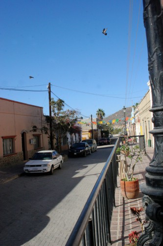 Ask a local Todos Santos Baja California - www.discoverbaja.com