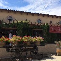 valle de guadalupe valley wine tour baja mexico - L.A. Cetto