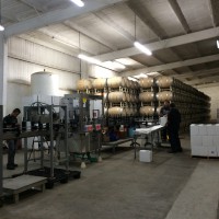 valle de guadalupe valley wine tour baja mexico - L.A. Cetto