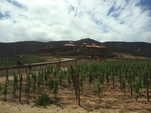 valle de guadalupe valley wine tour baja mexico - Las Nubes