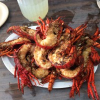 puerto nuevo lobster dinner baja mexico
