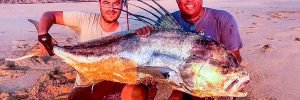 baja_fishing_report