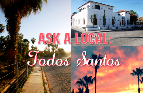 Ask a local Todos Santos Baja California - www.discoverbaja.com