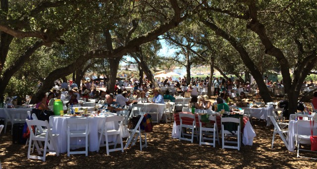 Vendimia paella fest - valle de guadalupe