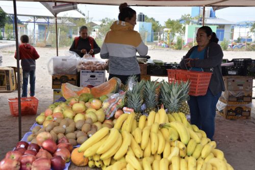 San Juanico Friday farmer's market