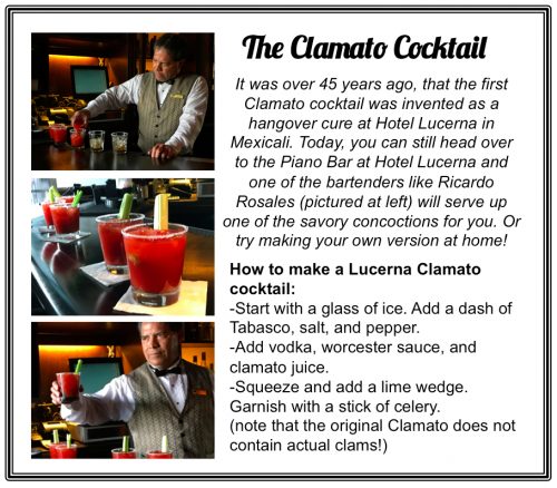 clamato cocktail