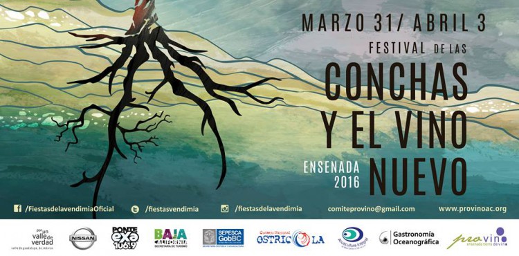 festival de las conchas y vino nuevo