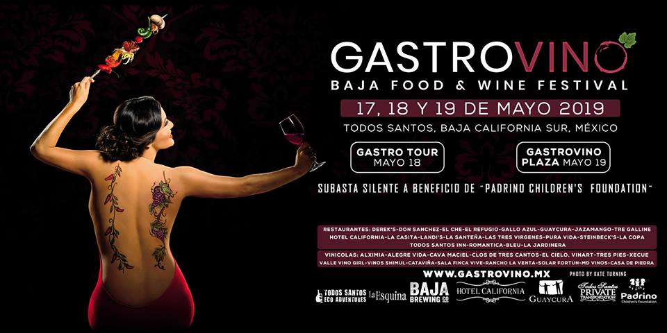 gastrovino