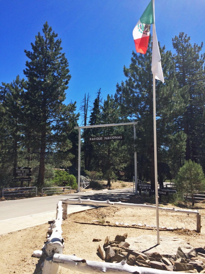 Complete Guide to Baja's Sierra de San Pedro Mártir