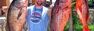 baja fishing report