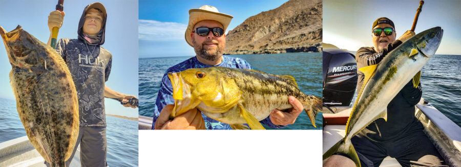 July 2022 Baja Fishing Report - Discover Baja Travel Club
