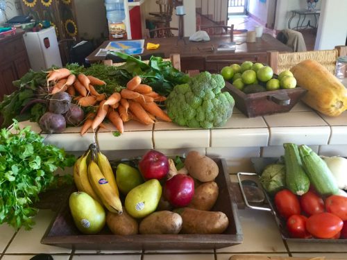 Fresh produce from the Mulege valley