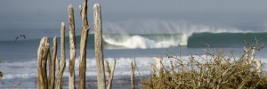 scorpion bay baja surf